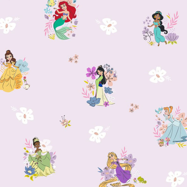 Disney Princess Dress & Bloomer Set